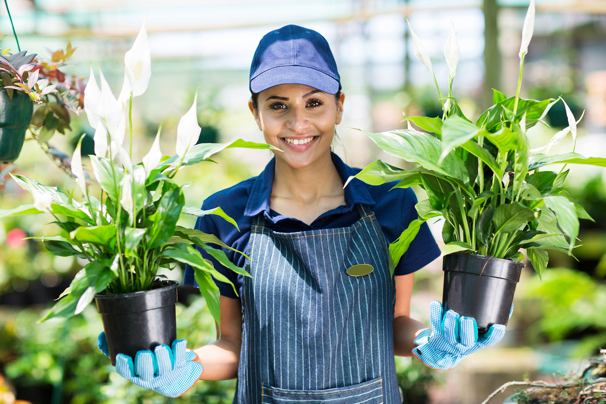 pretty female gardener holding two potted flowers in a garden center