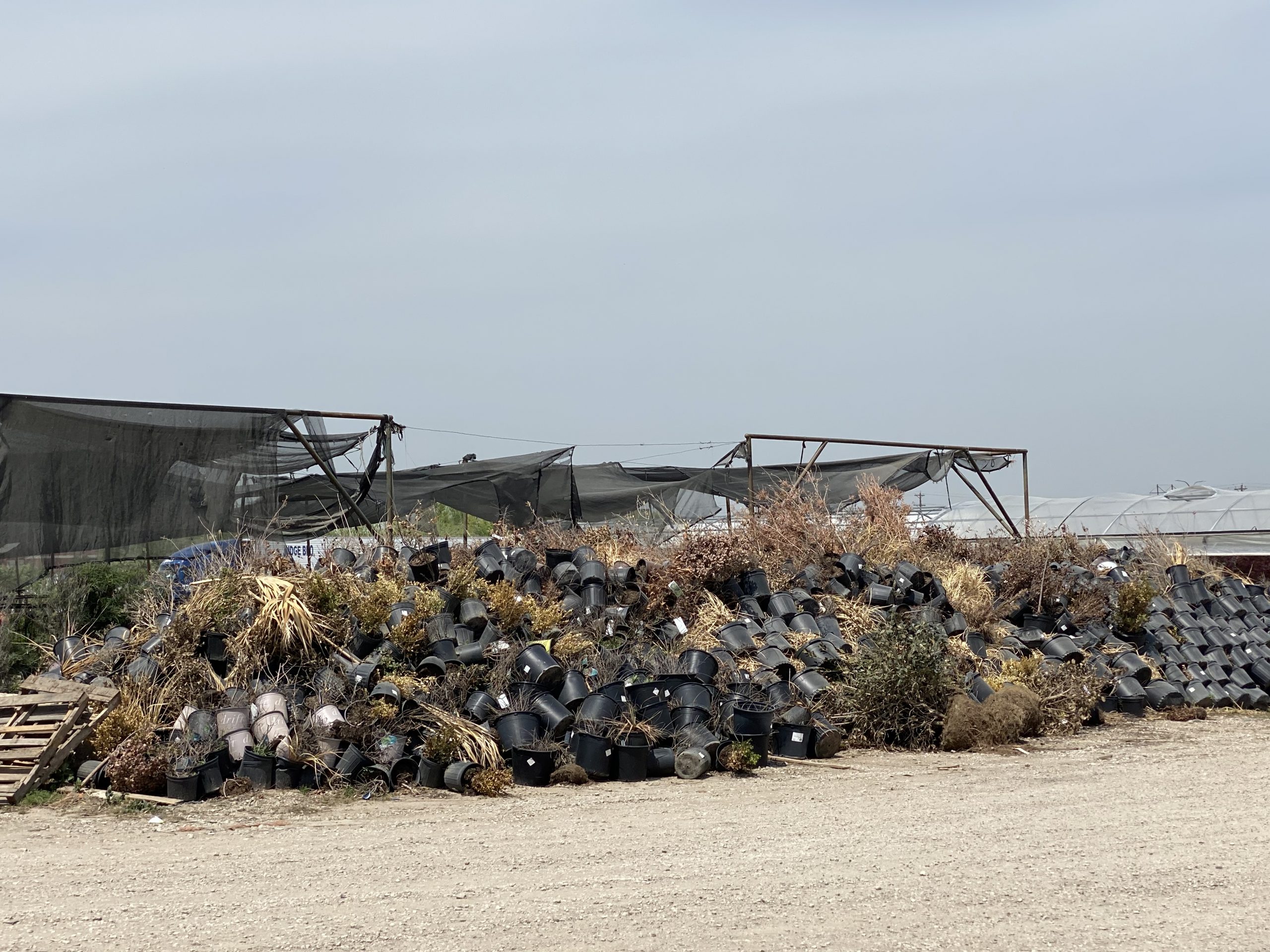 State Wide Plant Shortages Proscapes