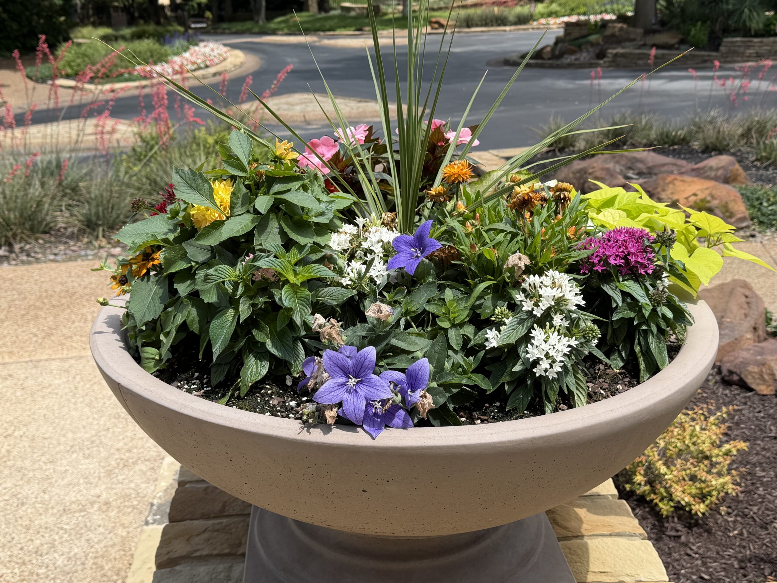 Proscape Jpeg Make Your Outdoor Spaces Pop: The Art of Summer Container Planting ...